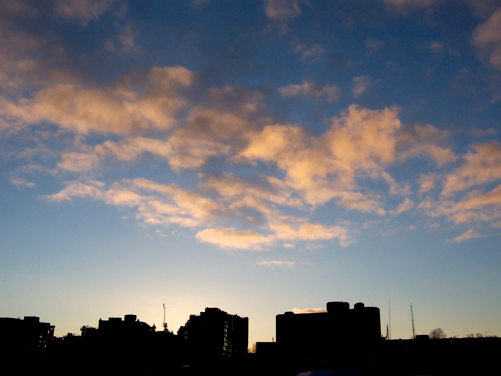 100_1679.jpg