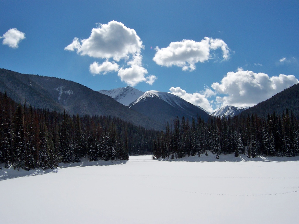 100_3295.jpg
