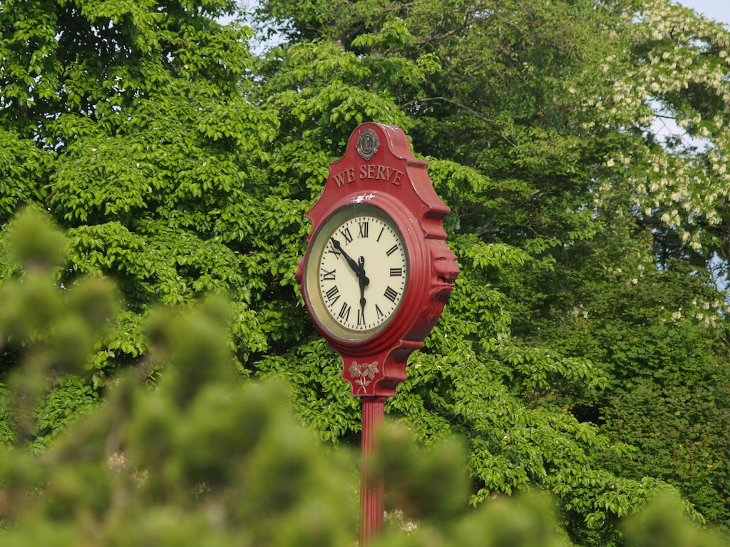 E6061533.jpg