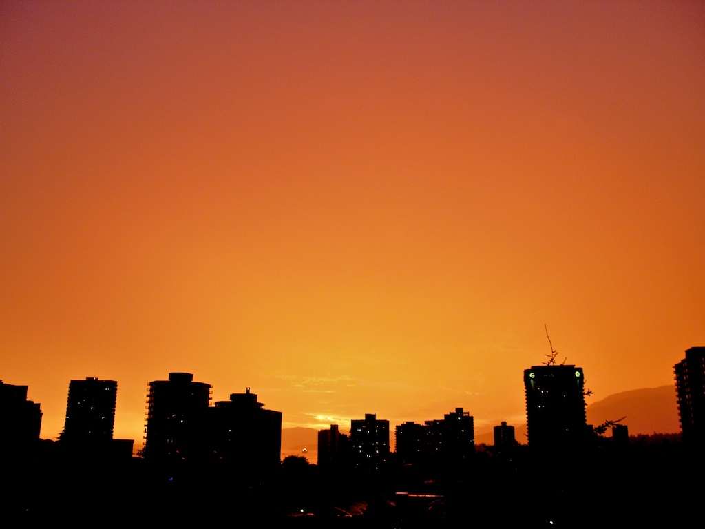 E7252295.jpg