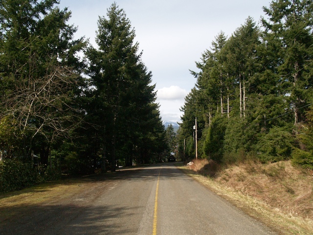 E3211950.JPG.jpg