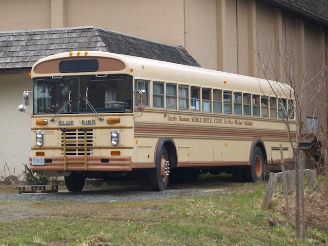 E3222024.JPG.jpg