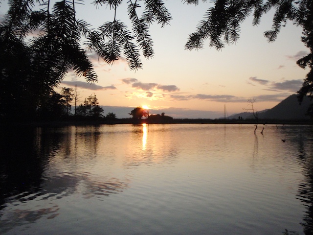 P8080071.jpg