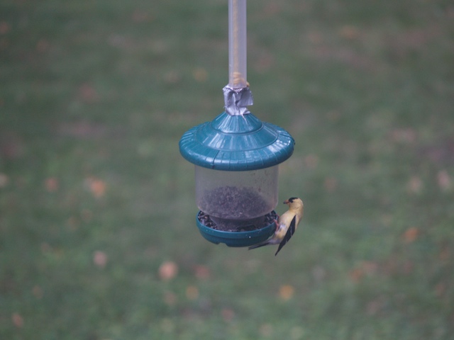 14_E8042493.jpg