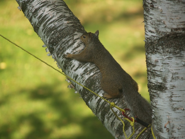 20_E8042569.jpg