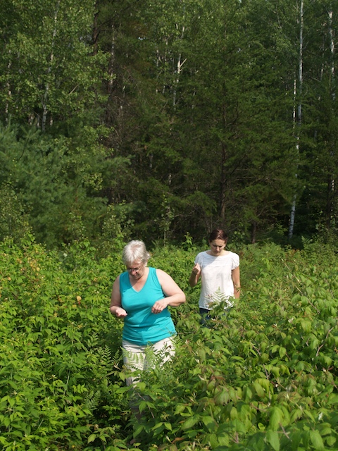 22_E8042522.jpg