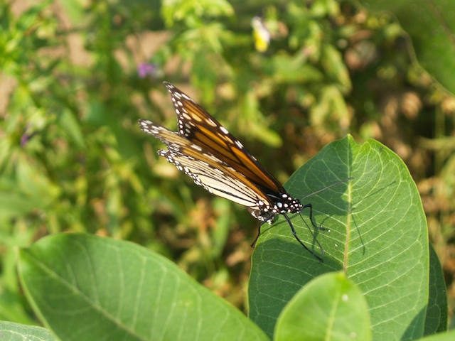 23_E8042539.jpg