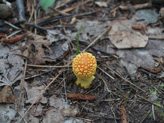 24_E8042545.jpg