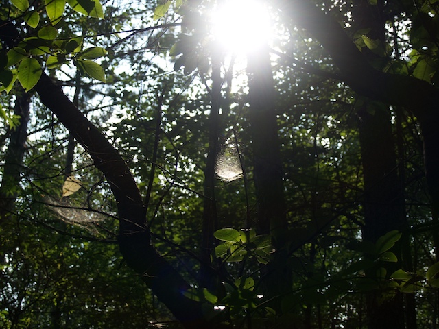 28_E8042554.jpg