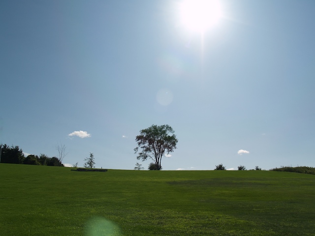 42_E8052646.jpg