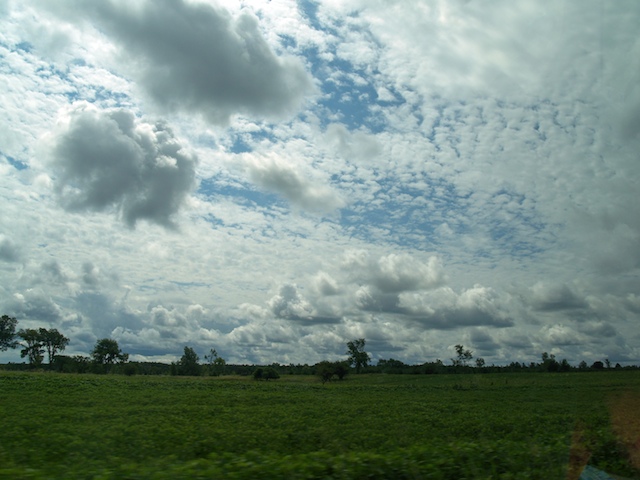 44_E8062651.jpg