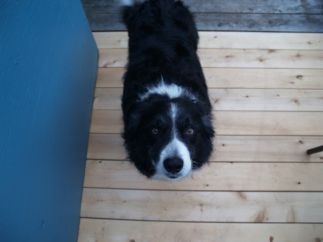 51_E8062666.jpg