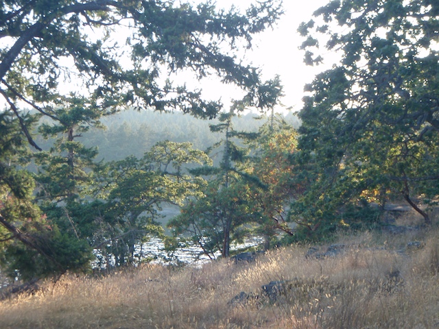 P7030188.jpg