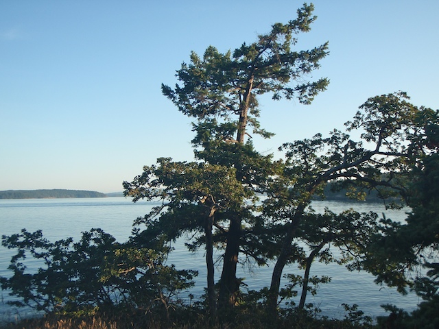 P7030190.jpg