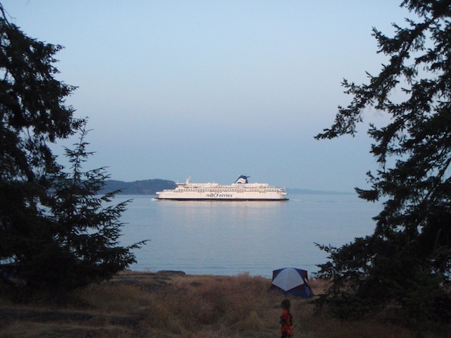 P7030200.jpg