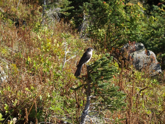 E9213057.jpg