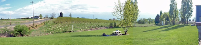 P5020047.jpg